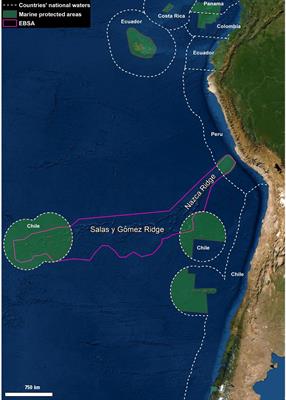 Borderless conservation: Integrating connectivity into high seas conservation efforts for the Salas y Gómez and Nazca ridges